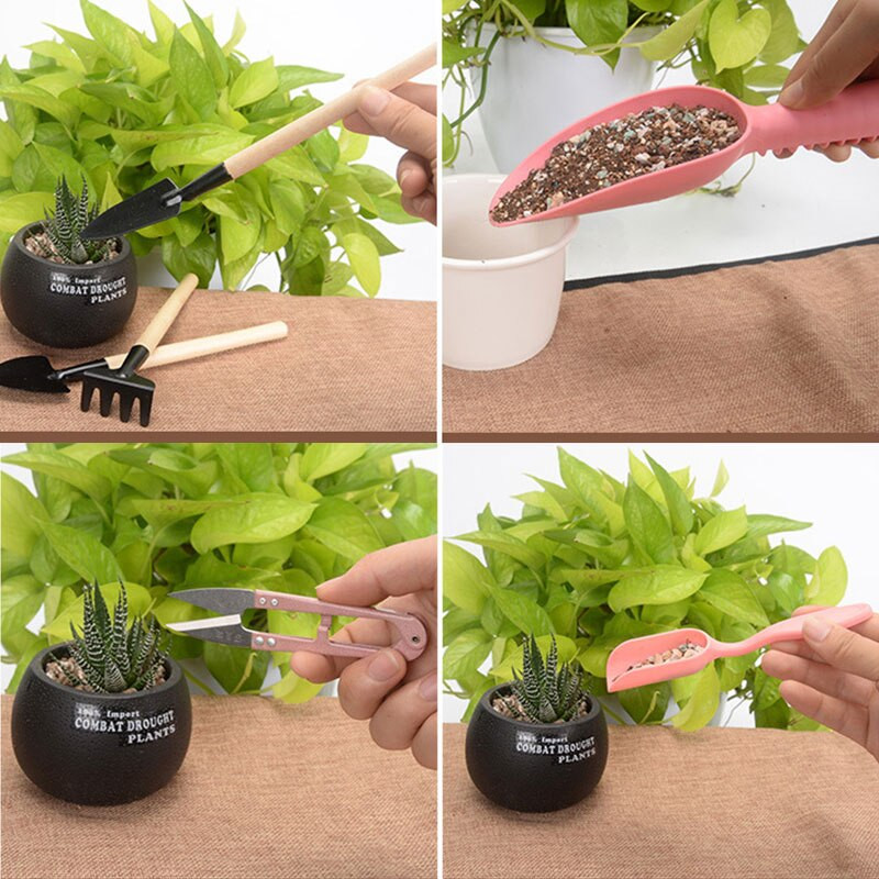 bonsai sėklos Sultingų augalų sodinimo įrankių rinkinys gėlių auginimas Mini sodininkystės produktai sultingi vazoniniai kaplių sodinimo įtaisai