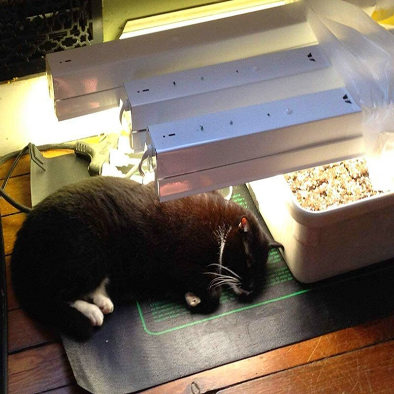 Нагревателна подложка за разсад 50x25 см Водоустойчива Кълняемост на семената на растенията Размножаване Стартова подложка 110V/220V Градински консумативи Дропшип