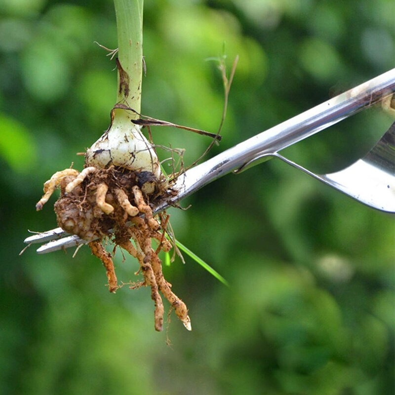 Nerūdijančio plieno rankinis ravėjimo įrankis Piktžolės Kasimo traukiklis Šakėtgalvis Piktžolės Pašalinkite Kastuvą Sodo apipjaustymo įrankiai PRE.