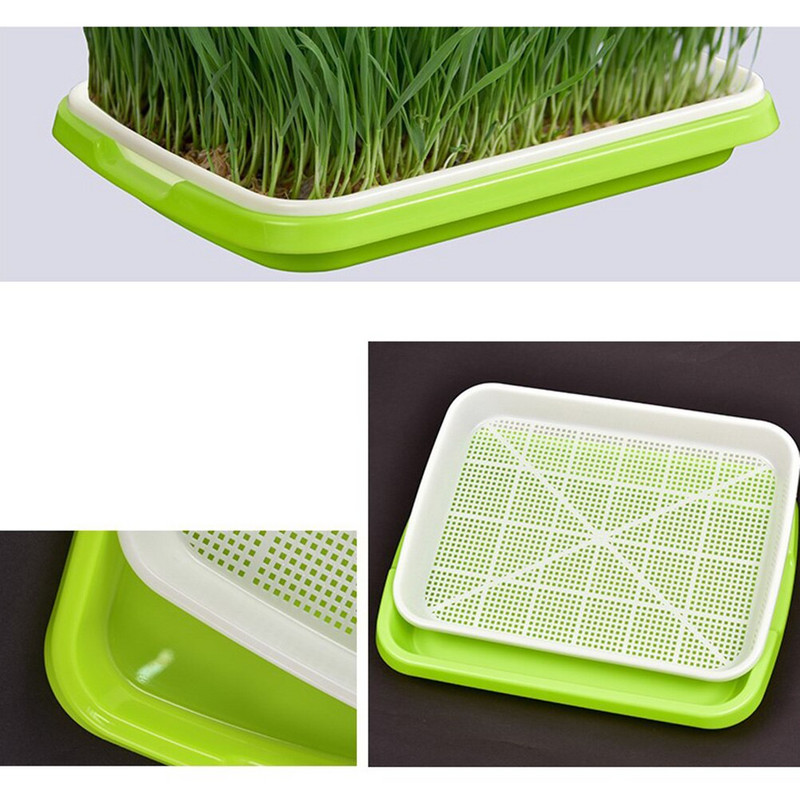 1 set Set de germinare Tavă de germinare fără pământ cu capac Tavă de germinare hidroponică pentru iarbă de grâu, soia Mung