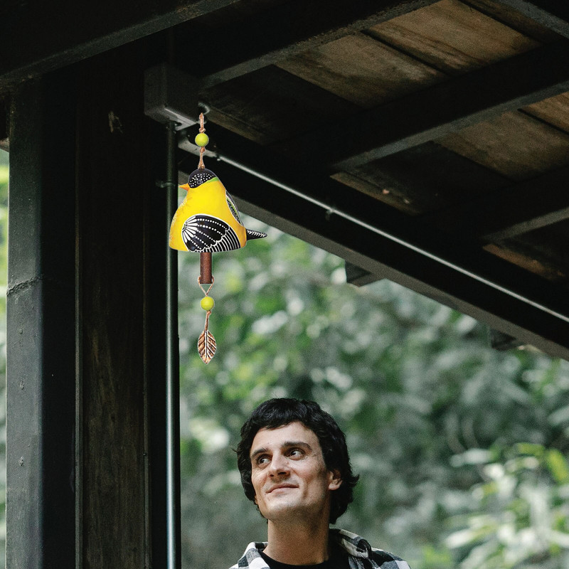 Varpeliai lauke, 15,7 colių ilgio Creative Resin Wind Chime Trakaus garso vėjo varpeliai Unikalus lauko paukščių dekoras kiemui