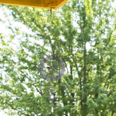 Clopoței de vânt cu fluturi Oglindă 3D Pasăre colibri Metal în aer liber Truse de casă mici de construit pentru a trăi cadou pentru femeile de 60 de ani