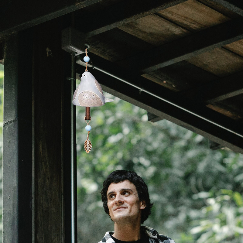 Vėjo varpeliai lauko klirensas Kūrybinis dervos paukščių giesmių varpelis, rankomis nudažytas gyvūno vėjo varpelis terasai prieangyje sodo kieme