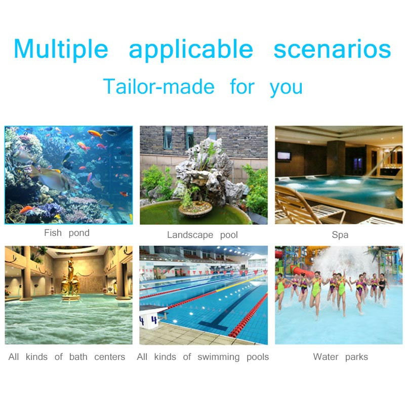 Plaukimo baseino priedai Dulkių siurblys valymo įrankis Siurbimo galvutės fontanas Dulkių siurblys Šepetys Vakuuminis šepetys baseino valiklis