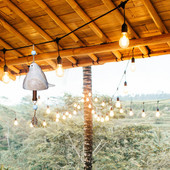 Vėjo varpeliai lauko klirensas Kūrybinis dervos paukščių giesmių varpelis, rankomis dažytas gyvūnų vėjo varpelis, skirtas terasai, verandai, sodo kieme