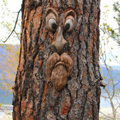 Starac Tree Hugger Garden Peeker Yard Art Outdoor Tree Smiješna skulptura s licem starca Hirovito lice stabla Vrtni ukras