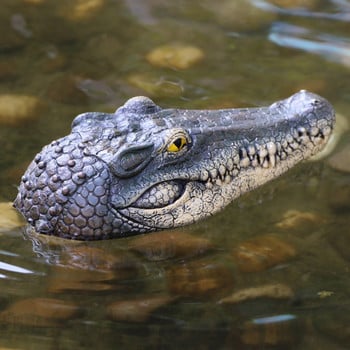Плаваща глава на крокодил, водна примамка, градинско езерце, арт декор за контрол, нов контрол, играчка за плавателни съдове, летни водни забавления #T2G