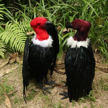 Fake Artificial Black Vulture Bird Ρεαλιστική Taxidermy Διακόσμηση Κήπου σπιτιού Νέο