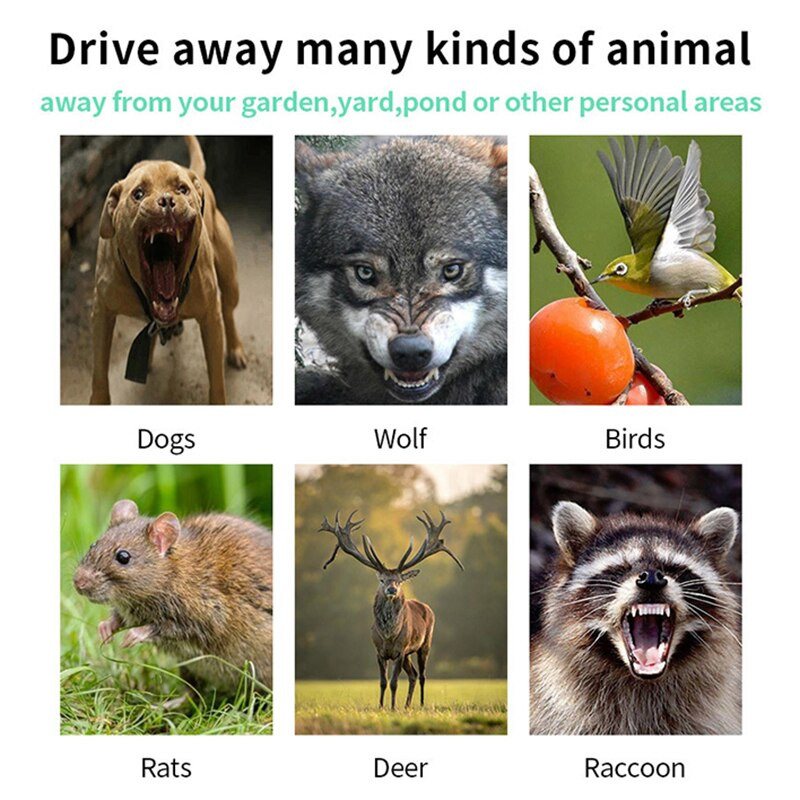 Päikeseelektrooniline ultraheli loomatõrjevahend Vilkuva punase tulega putukatõrjevahend välistingimustes kasutatavatele kahjuritele koertele hiirtele lindudele prussakahunt