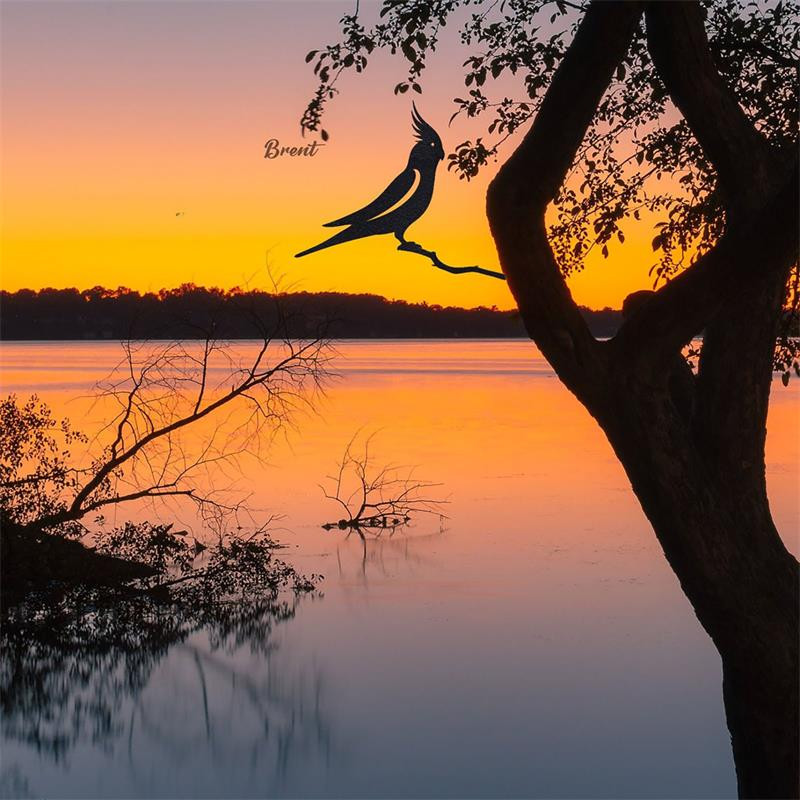 Papūgos metalo plieno skulptūros apdaila Meilės paukščio metalo apdaila Augalų sodas Namų kraštovaizdžio dekoravimas