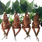 Sodo apdaila Mandrake dervos statula Lauko kiemo peizažas Dekoratyviniai papuošalai Namai Svetainė Miegamojo Dekoruoti