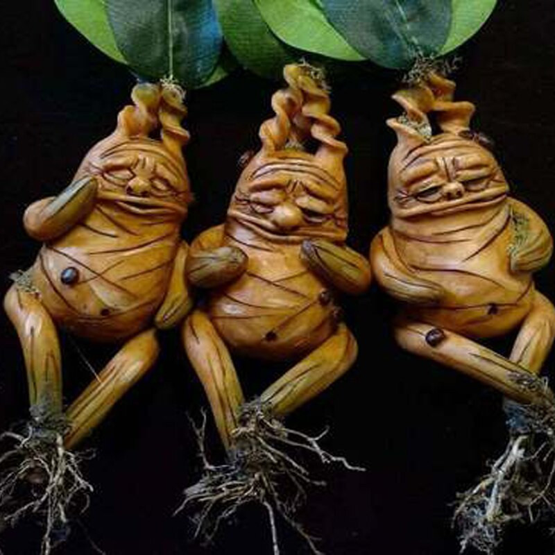 Sodo apdaila Mandrake dervos statula Lauko kiemo peizažas Dekoratyviniai papuošalai Namai Svetainė Miegamojo Dekoruoti