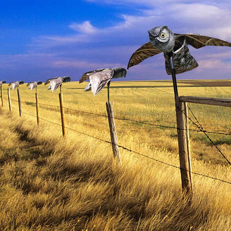Pelėdų paukščius atbaidanti kaliausės puošmena netikra pelėda masalo paukščių baidyklė garso ir šešėlių valdymas sodo vejos kiemo papuošalai