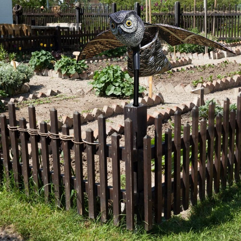 Pelėdų paukščius atbaidanti kaliausės puošmena netikra pelėda masalo paukščių baidyklė garso ir šešėlių valdymas sodo vejos kiemo papuošalai