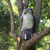 Външен двор Изплашване на птици Въртяща се глава Градинска декорация Контрол на вредители Птици Репелент Възпиращ птици Примамка за бухал