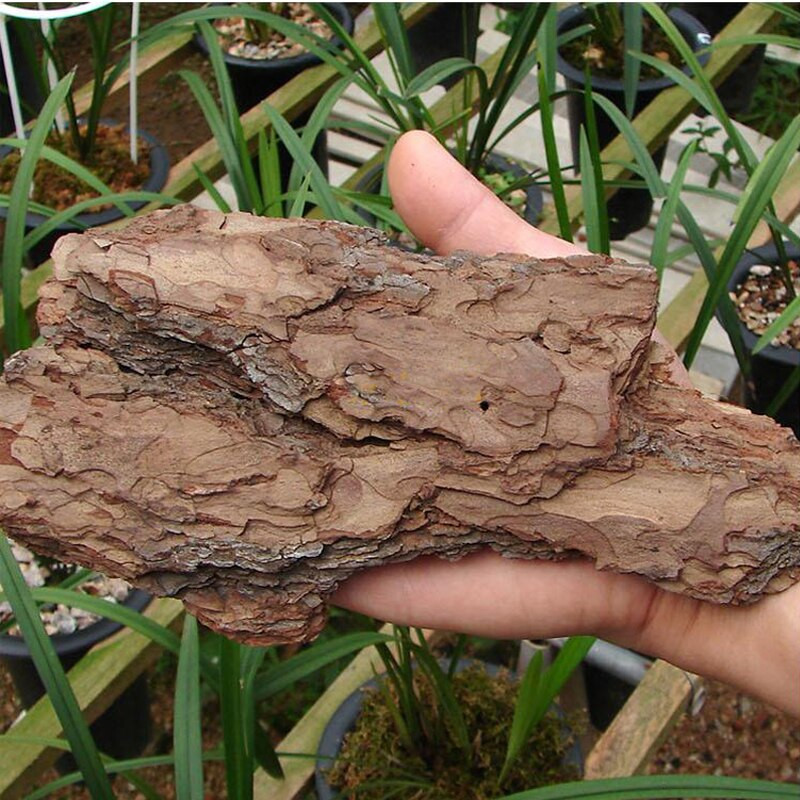 Natūralios Prancūzijos pušies žievės dendrobo orchidėjų augalai Zymotic pušies žievės trąšos ilgą laiką paskutinę kultivavimo substratą