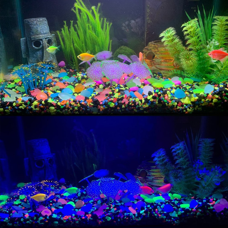 100 vnt Namų sodo dekoras Šviečiantys akmenukai Žuvys Akvariumas Akvariumo žėrinčios uolos Kalėdų puošmena Namų reikmenys