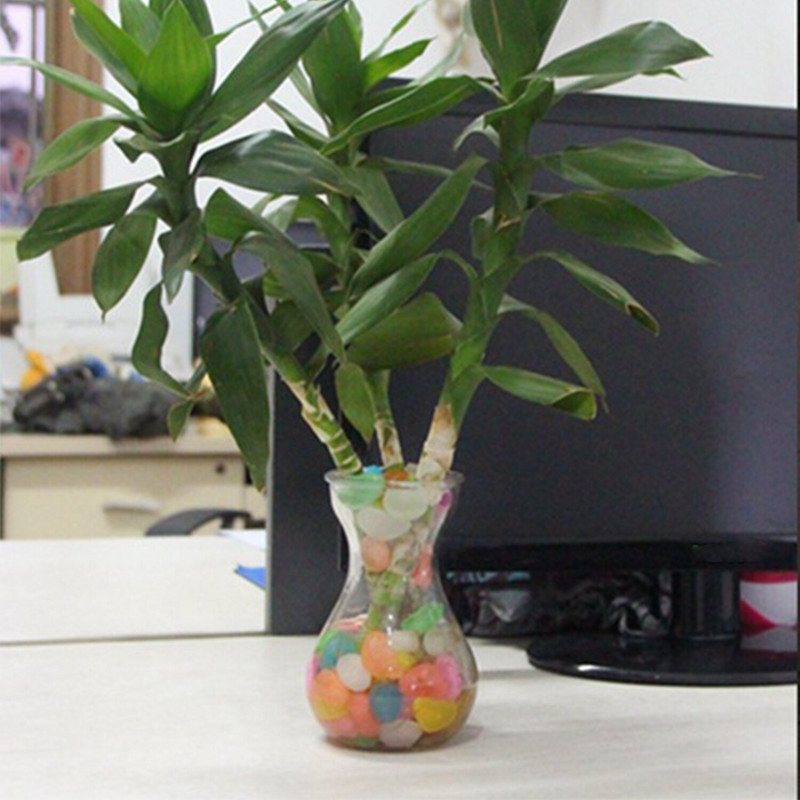 1kg Švyti tamsoje sode Akmenukai Švytintys akmenys Uolos takams Sodo takas Terasa Veja Sodo Kiemo Dekoras Šviečiantys akmenys