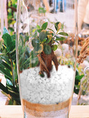 Prírodný leštený dekoratívny achátový kameň Prírodný leštený zmiešaný farebný kameň Achátový kameň na bytovú dekoráciu, výplň akvárií