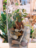 Prírodný leštený dekoratívny achátový kameň Prírodný leštený zmiešaný farebný kameň Achátový kameň na bytovú dekoráciu, výplň akvárií