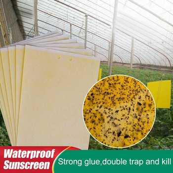30/50/100PCS Ισχυρές παγίδες μυγών Κίτρινο μπλε κολλώδες σανίδα διπλής όψης που πιάνει αφίδες έντομα Pest Killer Outdoor Fly Trap Dropship