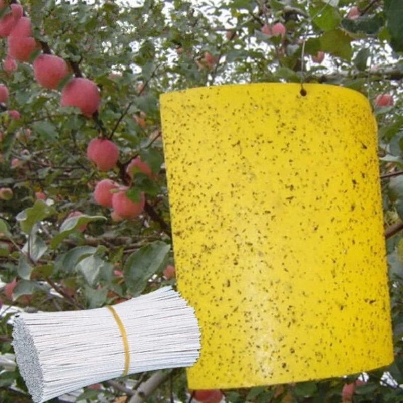 30-100 buc. Capcane lipicioase pentru seră galbenă pentru insecte Placă lipicioasă cu mai multe insecte zburătoare autocolant de control cu două fețe
