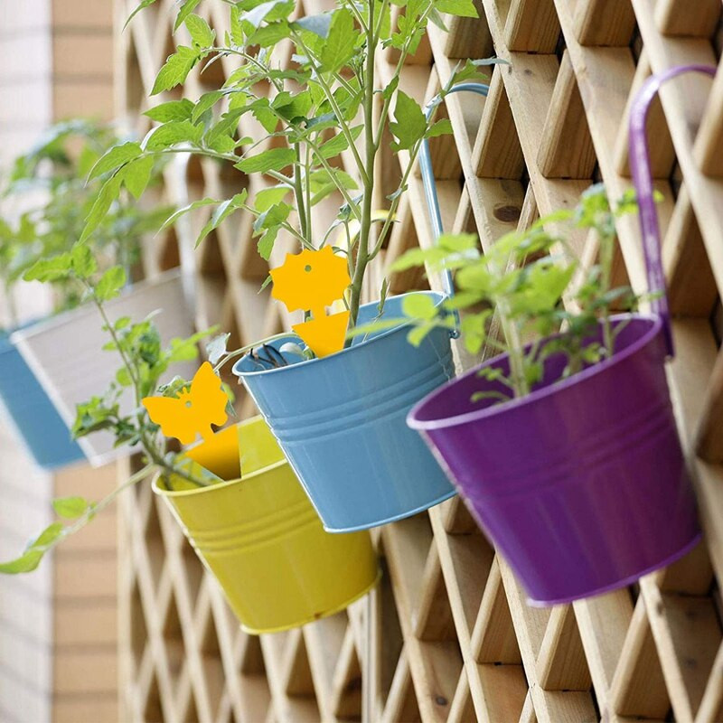 96 bucăți capcane lipicioase pentru muștele din fructe, capcane pentru insecte pentru plante, bucătărie în interior și exterior, protejează planta