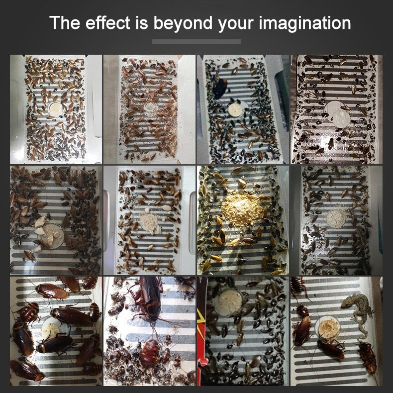 10/20 vnt. tarakonų gaudyklė, atbaidanti kuojų žudikų gaudyklę namuose, saugus naminiams gyvūnėliams.