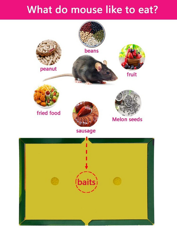Placă de șoarece 5 bucăți Capcană lipicioasă pentru șoareci, capcană cu adeziv pentru rozătoare, șobolani, insecte, control, respingere, capcană de muște, non-toxică, ecologică