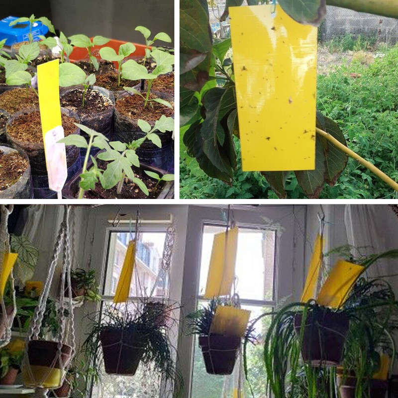 Samolepka na kontrolu lietajúceho hmyzu, obojstranná, 30/50 ks, lepidlo na hmyz, lepkavá doska, pasca na skleník, domácu záhradu, žltá