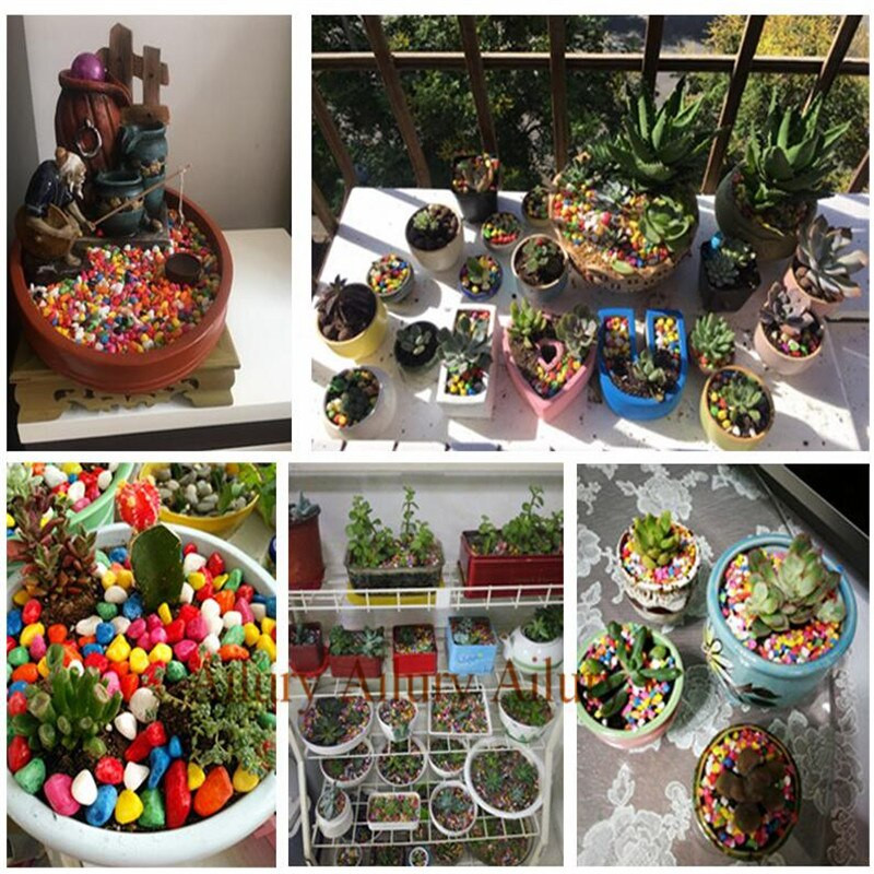 200g Mai multe pietricele pietricele albe de flori de ploaie pietricele pentru rezervor de pești ghivece decorative cărnoase în ghivece accesorii de grădinărit pietre colorate