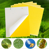 30-100gb Spēcīgi mušu slazdi Bugs Divpusēji lipīgi dēļi ķer laputu kukaiņu kaitēkļu kontroles Whitefly Thrip Leafminer līmes uzlīme
