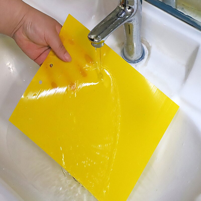 30-100gb Spēcīgi mušu slazdi Bugs Divpusēji lipīgi dēļi ķer laputu kukaiņu kaitēkļu kontroles Whitefly Thrip Leafminer līmes uzlīme