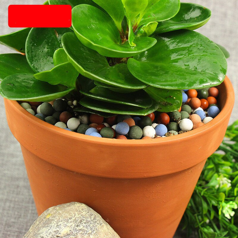500g Kultúra Botanika Maľovaná keramika Viacfarebný mäsiarsky kameň Dekorácia kvetináča Anion Pôda Voda Keramická guľa Záhradné potreby