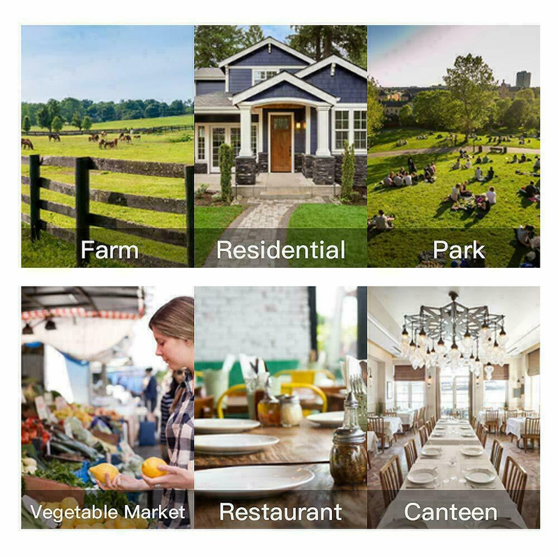 3 buc. Cușcă reutilizabilă agățată pentru capcană de muște, cușcă pliabilă pentru ucigaș de muște, pentru controlul dăunătorilor, cușcă pentru exterminator, instrumente de grădinărit pentru acasă