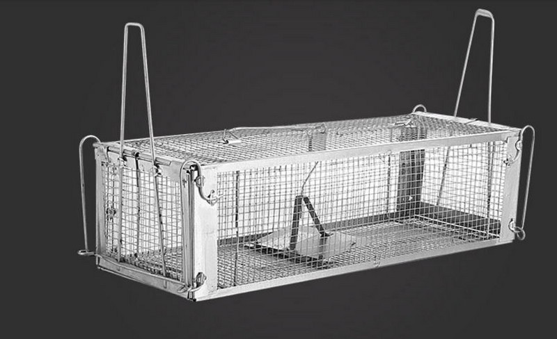 Dvostruka vrata za višekratnu upotrebu, hvatanje miševa, zamke za miševe, mamac, kopča, hvatač glodavaca, mišolovka, kavez za lov na štakore, kavez za glodavce s jednim mišem