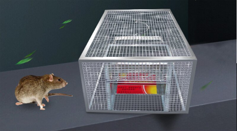 Pasca na myši pre domácnosť, kontinuálna pasca na myši, veľký priestor, automatická pasca na potkany a hady, bezpečná a neškodná, vysoká účinnosť