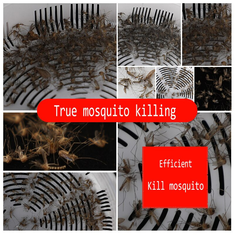 2020 Nová účinná LED lampa na zabíjanie hmyzu, USB zabíjač hmyzu, pasca na komáre, repelentná lampa, dropshipping