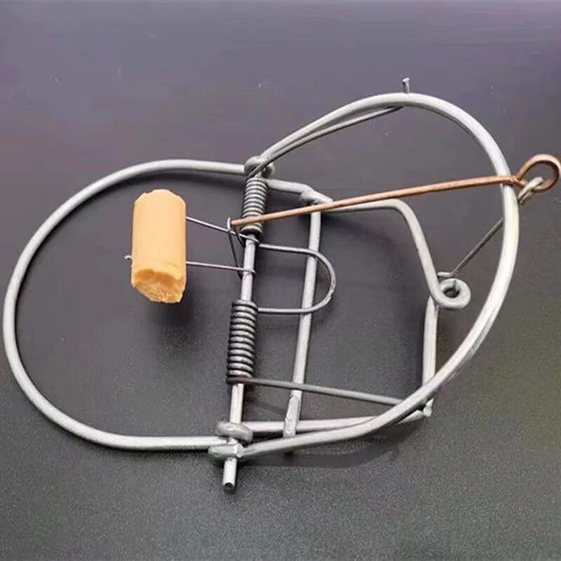 Capcană mare pentru șoareci Capcană pentru nevăstuică Capcană pentru șoareci Capcană pentru rozătoare Cușcă pentru alunițe Capcană pentru șobolani Accesorii pentru grădină