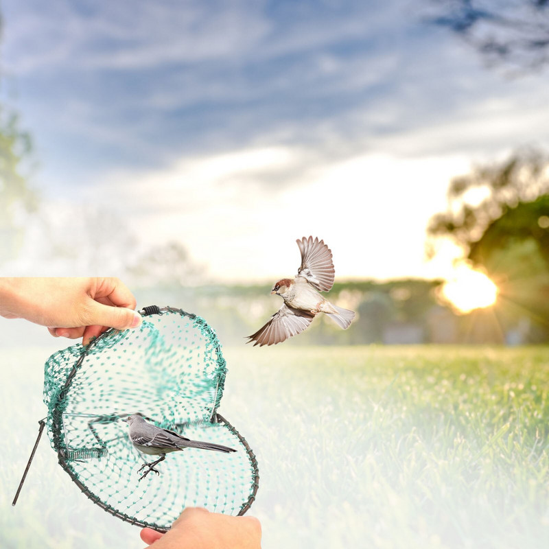 20cm/30cm/40cm vtáčia sieťka humánna pasca na živé zvieratá pasca na myši chytanie králikov poľovníctvo prepelice humánne odchytávanie poľovníctvo kontrola