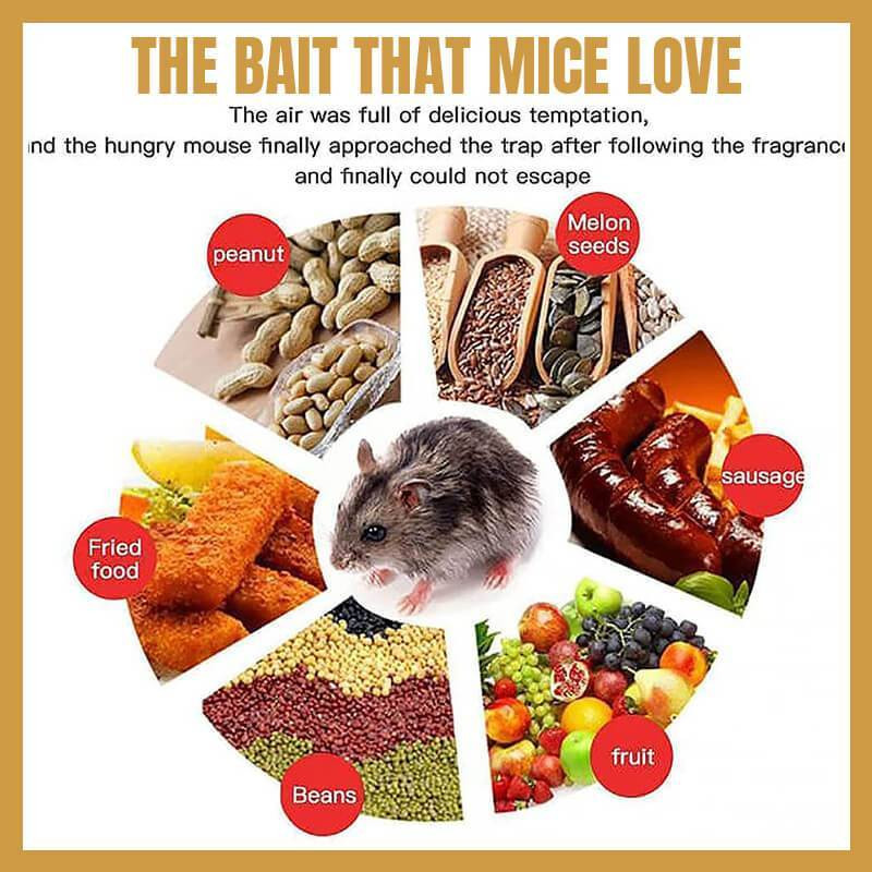 Daugkartinis pelės gaudyklė „Clamshell“ automatiškai atstato vidaus lauko plastikinio slankiojančio kibiro dangtelį Mirtinas spąstų pelės durelių stilius