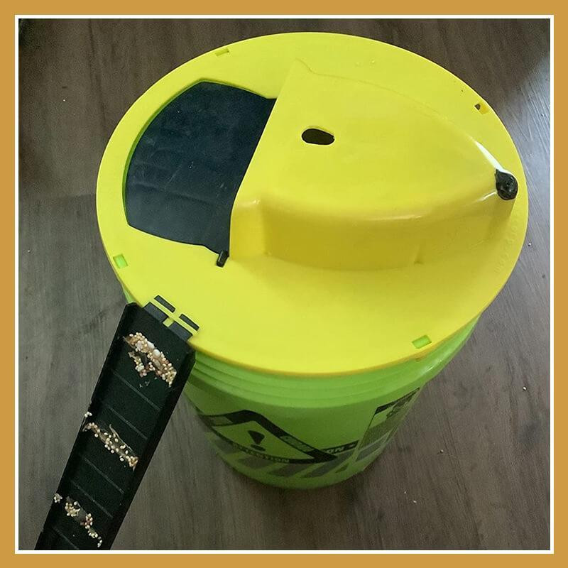 Daugkartinis pelės gaudyklė „Clamshell“ automatiškai atstato vidaus lauko plastikinio slankiojančio kibiro dangtelį Mirtinas spąstų pelės durelių stilius