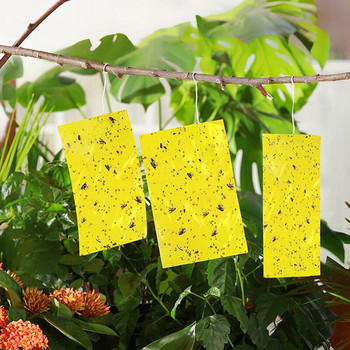 Ισχυρή Μυγοπαγίδα Κίτρινο Μπλε Κολλώδεις Παγίδες Εξωτερική Εσωτερική Αφίδες Leaf Miners Whiteflies Flying Insects Trap 30-100PCS Sticky Board