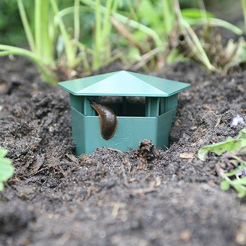 6 vnt. alaus šliužų ir sraigių gaudyklės Ekologiški šliužui gaudyti Sraigių gaudyklė Saugus vaikams ir naminiams gyvūnėliams Ekologiškas sodininkystės repelentas