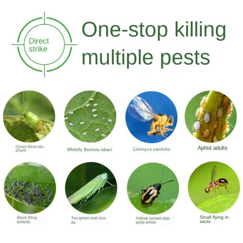 Ragadós tábla kétoldalas PVC rovarfogó tábla rovarcsapda tábla rovarfogó tábla levéltetvek irtó fehérlégy kicsi repülő