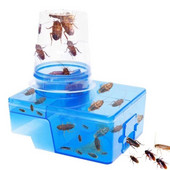 Vylepšená verzia pasce na šváby, bezpečná a účinná, proti švábom, netoxický plastový odpudzovač pre domácu kanceláriu a kuchyňu