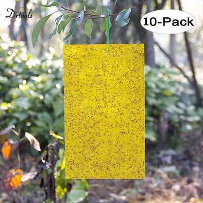 10gab 20*25cm Spēcīgas mušu slazdi Bugs Lipīgs dēlis ķer laputu kukaiņus kaitēkļu slepkavas āra mušu slazds laputīm sēnītei GT122