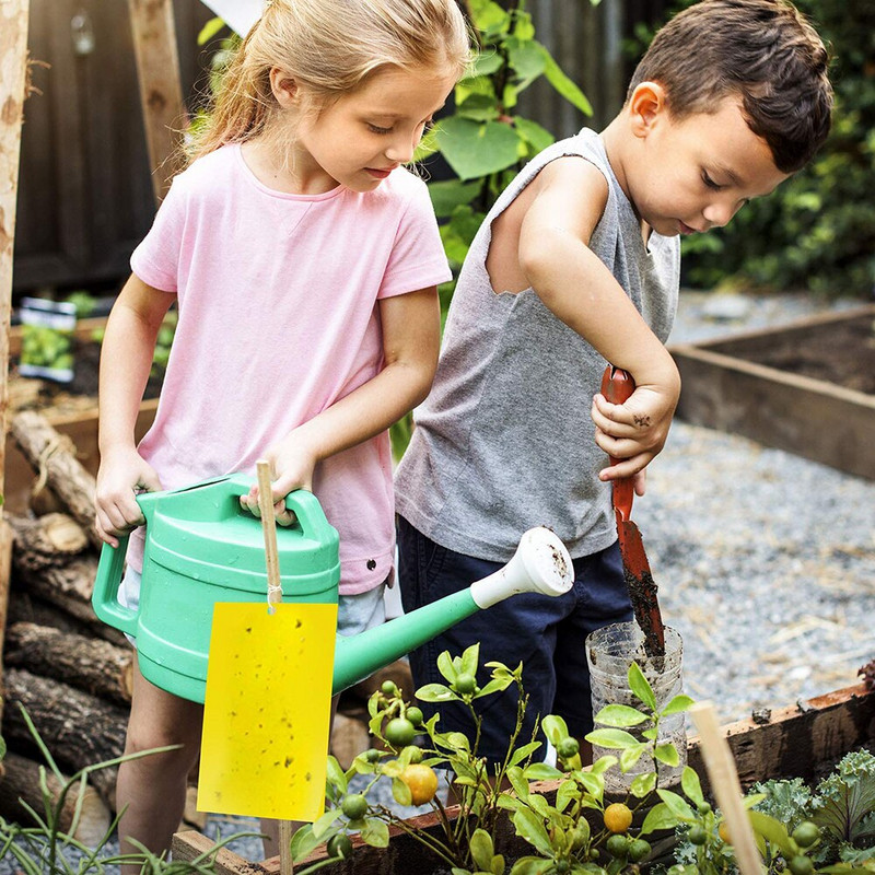 10 buc 20*25 cm Capcane puternice pentru muște pentru insecte Placă lipicioasă prinderea afide insecte ucigaș dăunători capcană în aer liber pentru afide ciuperca GT122