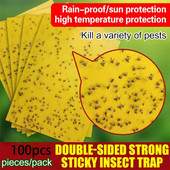 100 vnt. stiprių musių gaudyklės, klaidos, lipnios lentos, gaudančios amarus, vabzdžius, kenkėjus naikinančius baltuosius muselių lapus, lipdukus
