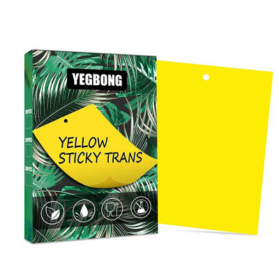 100 vnt. stiprių musių gaudyklės, klaidos, lipnios lentos, gaudančios amarus, vabzdžius, kenkėjus naikinančius baltuosius muselių lapus, lipdukus